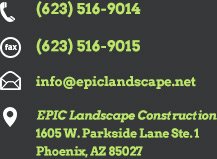contact-info